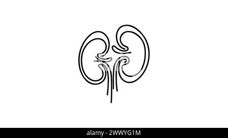 Human kidneys with ureters one line art. Continuous line drawing of ...