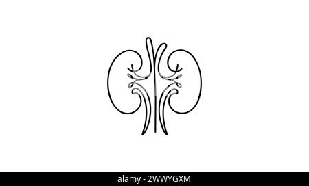 Human kidneys with ureters one line art. Continuous line drawing of ...