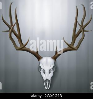 Realistic Deer Skull and Antlers Hanging on Wall, Vector Illustration Stock Vector