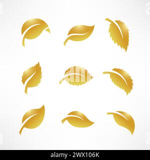 Artistic Collection of Gold Leaves Set, Vector Illustration Stock Vector