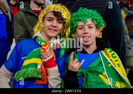 Madrid, Madrid, Spain. 26th Mar, 2024. Brazil fans during the friendly football match among the national teams of Spain and Brazil at Estadio Santiago Bernabeu, Madrid. (Credit Image: © Alberto Gardin/ZUMA Press Wire) EDITORIAL USAGE ONLY! Not for Commercial USAGE! Stock Photo