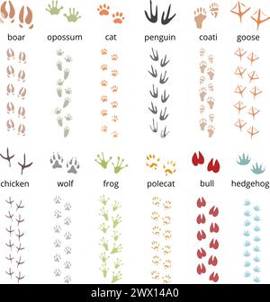 Colorful flat set of funny track footprints of different animals birds and amphibians isolated on white background vector illustration Stock Vector