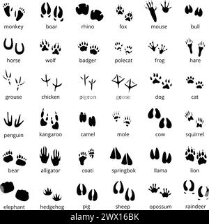 Big monochrome set of different animals and birds silhouette tracks with description isolated on white background flat vector illustration Stock Vector