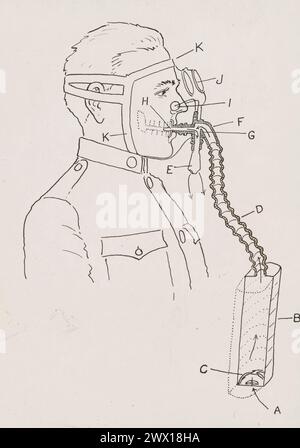 Chemical Warfare Service - Diagram of gas mask for horses ca. 1916-1919 ...