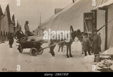 WITH THE AMERICANS IN NORTH RUSSIA. The guard at the doorway of this warehouse of food supplies for the Allied troops campaigning south of Archangel is an American. The Russian teamster is unloading sacks of oatmeal ca. 1918 or 1919 Stock Photo