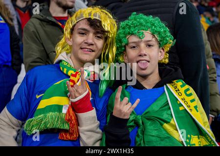 Madrid, Spain. 26th Mar, 2024. Brazil fans during the friendly football match among the national teams of Spain and Brazil at Estadio Santiago Bernabeu, Madrid. Credit: Independent Photo Agency/Alamy Live News Stock Photo