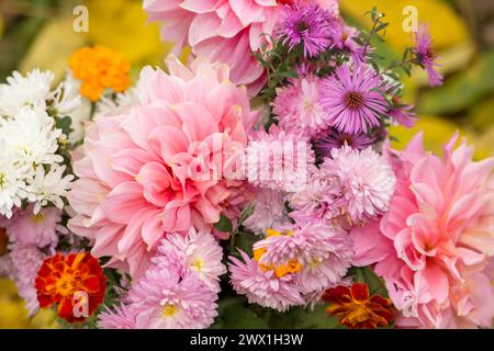 beautiful flowers fall on a yellow background Stock Photo