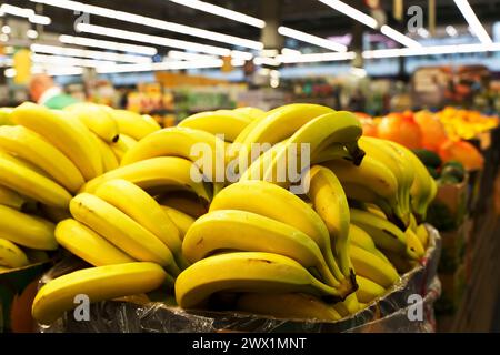 Bananas in supermarket on the counter. Farm bananas fruits and vegetables on sale in a store. High quality photo Stock Photo