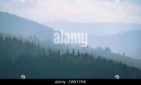 Mountains under mist in the morning Amazing nature scenery. Tourism and travel concept image, Fresh and relax type nature image Stock Photo