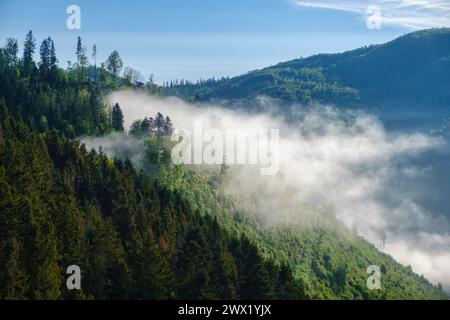 Fog over the mountains. Great view of the foggy valley National Park. Europe. Dramatic scene download Stock Photo