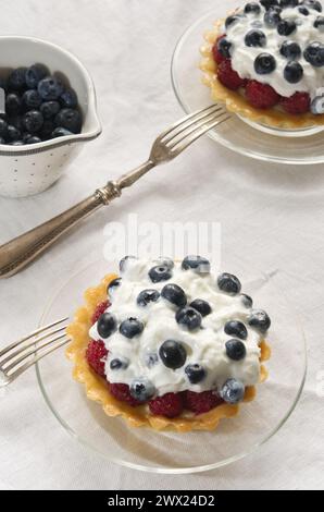 Two cupcakes with blueberries and whipped cream on a table. Stock Photo