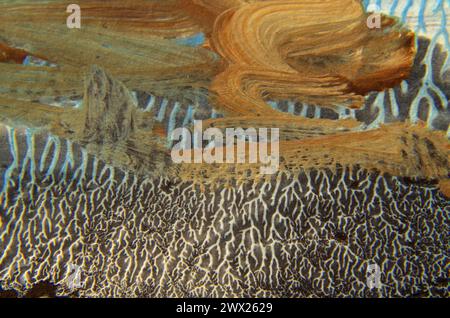 Abstract Art in Detaill. Stock Photo