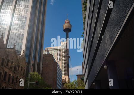 21.09.2019, Sydney, New South Wales, Australien - Ein Blick auf den Sydney Tower im Geschaeftsviertel der australischen Millionenmetropole, dem hoechsten Bauwerk der Stadt und dem zweithoechsten Fernmeldeturm auf der Suedhalbkugel mit einer Hoehe von 309 Metern. *** 21 09 2019, Sydney, New South Wales, Australia A view of the Sydney Tower in the business district of the Australian metropolis, the tallest building in the city and the second tallest telecommunications tower in the southern hemisphere with a height of 309 meters Stock Photo