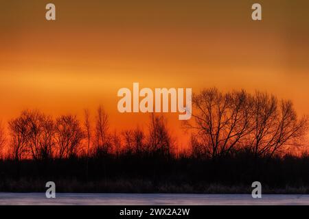 A Floodplain Winter Forest Against The Background Of The Morning Aurora 