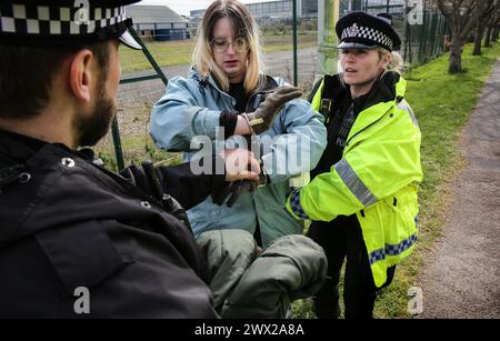 Sandwich, UK. 26th Mar, 2024. An activist is arrested and led away in handcuffs after being removed from a lock-on outside Instro Precisior. Instro Precision provide components for Elbit Systemís weaponry. Palestine Action continues to target subsidiary companies of Israeli arms company Elbit Systems in an attempt to isolate them and make business impossible. This tactic has caused two of Elbit's ten main businesses to close in the UK and several partner companies to cut ties with them. Credit: SOPA Images Limited/Alamy Live News Stock Photo