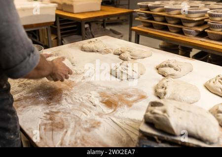 Unrecognizable young adult male baker, preparing dough to make breads on the baker's table with sprinkled flour, bakers' school. Stock Photo