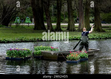 AMSTERDAM - Rafts full of tulips are launched in the pond in the Vondelpark as part of the tenth edition of the Tulp Festival Amsterdam. During this festival, tens of thousands of tulips bloom throughout the Amsterdam districts. ANP RAMON VAN FLYMEN netherlands out - belgium out Stock Photo