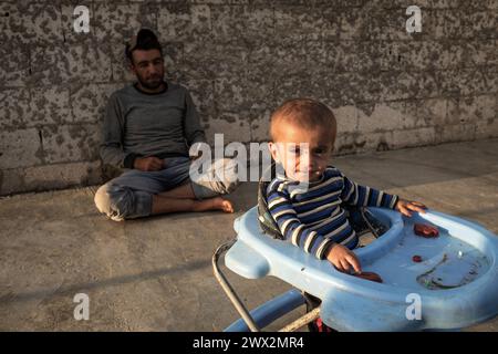 Raqqa, Syrie. 02nd Oct, 2023. © Chris Huby/Le Pictorium/MAXPPP - Raqqa 02/10/2023 Chris Huby/Le Pictorium - 02/10/2023 - Syrie/Syrie du nord/Raqqa - Village de Katuniyeh - Une famille de syriens a recu quelques aides d'ONG, notamment des food baskets qui leur permettent de planter des legumes chaque annee. - Valeurs ACtuelles out, RUSSIA OUT, NO RUSSIA #norussia/02/10/2023 - Syria/northern syria/Raqqa - Katuniyeh village - A Syrian family has received some help from NGOs, including food baskets that enable them to plant vegetables every year. Credit: MAXPPP/Alamy Live News Stock Photo