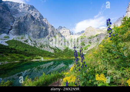 Colorful flowers blooming by the popular mountain lake Zelene Pleso in High Tatra mountains in Slovakia Stock Photo