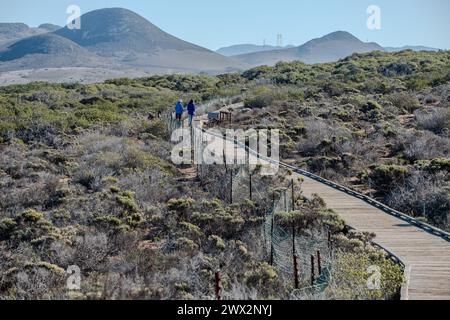 Visitors on the boardwalk at El Morro Elfin Forest Natural Area near Morro Bay, California Stock Photo