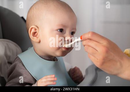 A mother feeds a baby boy who is 8 months old with meat puree. Feeding an infant. Stock Photo