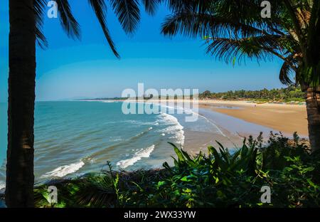 Panorama of Amazing sand beach in southern India - Goa (or Kerala or Karnataka). Also there fishing village-  many fishing boats on the coast Stock Photo