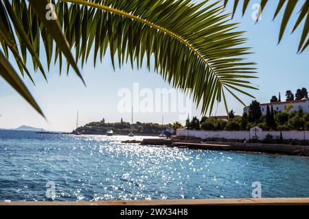 View from ecological road at Spetses on palm branch and shiny water of mediterranean Sea on Greek islands  (Spetses or Hydra or Myconos or Santorini Stock Photo