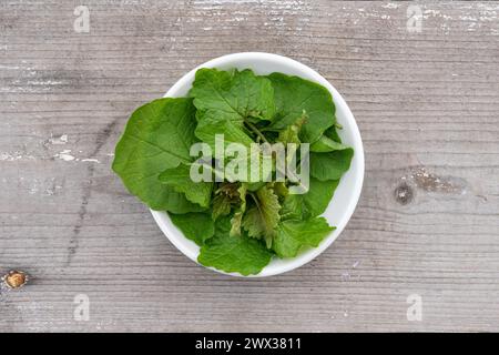 White bowl with fresh garlic mustard leaves on a wooden background Stock Photo