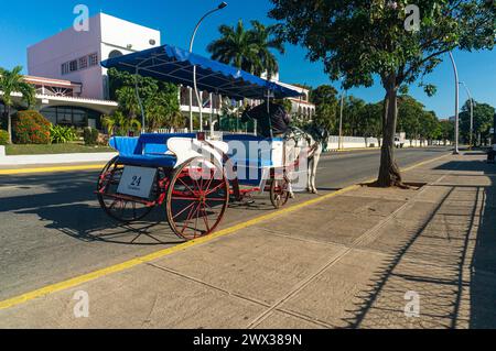 Horse-drawn taxi carriage on the street of Varadero, Cuba Stock Photo