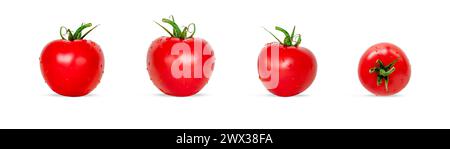 Delicious red tomatoes isolated on white background. Stock Photo