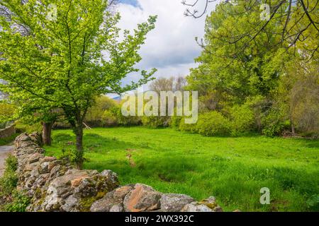 Spring landscape. Braojos de la Sierra, Madrid province, Spain. Stock Photo