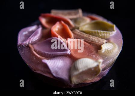 Close-up of colourful rigatoni and shell pasta shapes frozen in ice ...