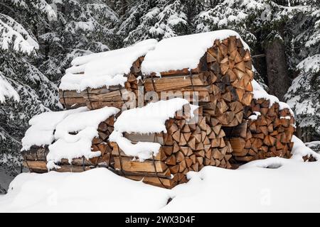 packages with firewood pieces in winter Stock Photo