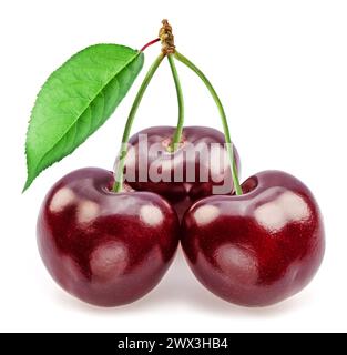 Sweet cherries with leaf isolated on white background. Stock Photo
