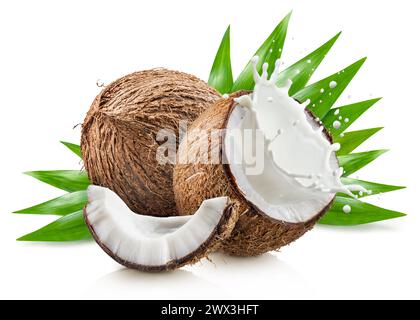 Coconut fruit and coconut milk splash isolated on white background. File contains clipping path. Stock Photo