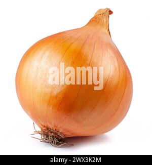 Yellow onion bulb isolated on white background. Stock Photo