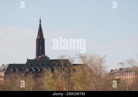 Strasbourg Rivetoile-Place de l'Etoile Strasbourg-Gandhi sculpture Stock Photo