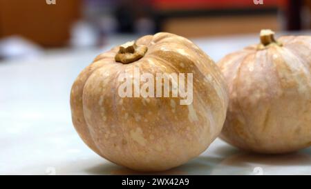 Two small pumpkins on table top. With blurred background. Stock Photo