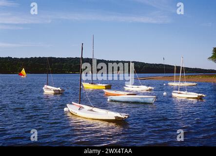 Colorful sailboats; Lake Galena; Peace Valley Park; Pennsylvania; USA Stock Photo