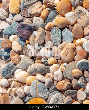 detail image of shells and rocks Stock Photo