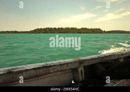 A coastline vegetated by dense mangrove forest, part of Ujung Kulon National Park, is seen from a boat that is sailing on Sunda Strait, in Pandeglang, Banten, Indonesia. Stock Photo