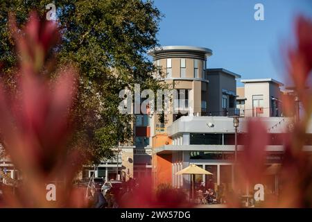 Cupertino, California, USA - January 1, 2023: People stroll and eat at downtown Main Street Cupertino. Stock Photo