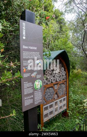 Bee habitat created by City of Sydney to encourage bees to create a home nest, Sydney, NSW, Australia Stock Photo