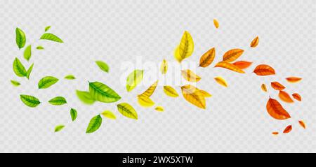 Flying gradient colored leaf curly wave line on transparent background. Realistic vector illustration of green, yellow, orange and red tree foliage fl Stock Vector