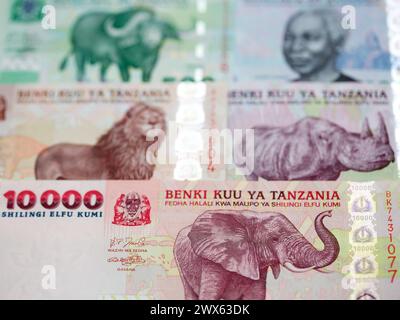 Tanzanian money - shilling a business background Stock Photo