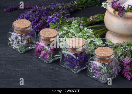 Set of healing herbs.Fresh thyme, sage, achillea, chicory and red clover herb in bottle. Alternative medicine concept on black wooden table(selective Stock Photo