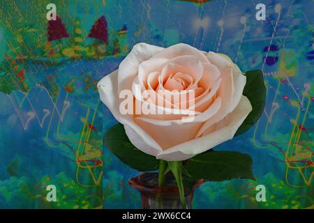 A single beautiful pink rose in a glass vase against an artistic neon texture background Stock Photo