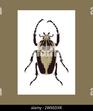Realistic Goliath geant vector illustration Stock Vector