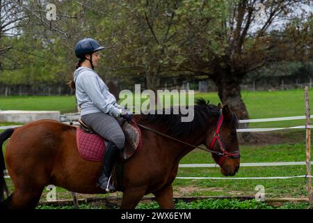 Woman learning to ride a horse Stock Photo