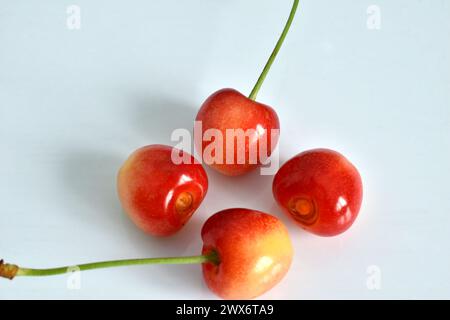 Ripe pink cherries lie on the table Stock Photo